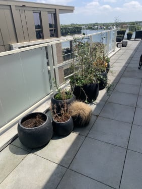 Tuinpotten