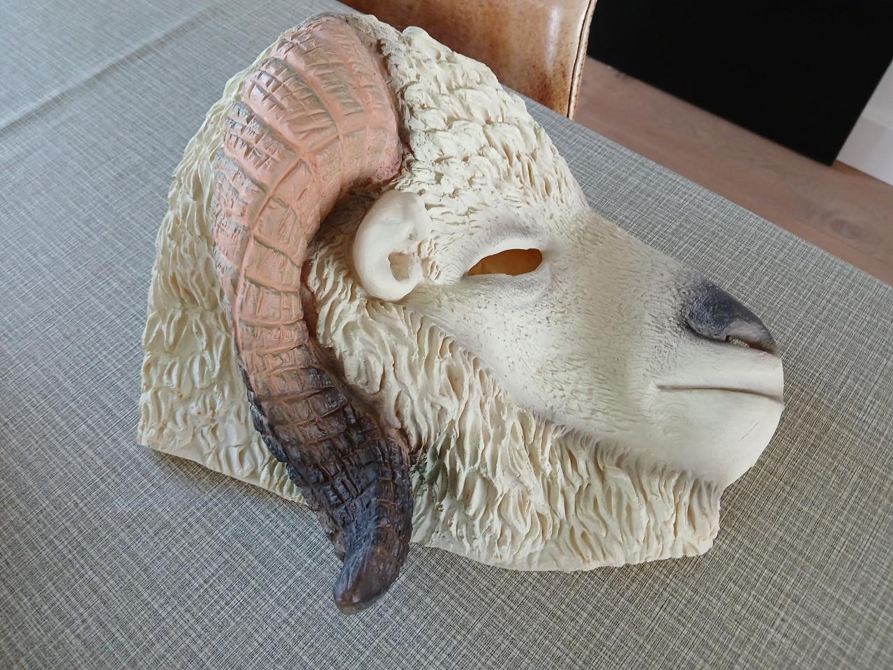 Carnavalskleding veschillende maskers en een pak