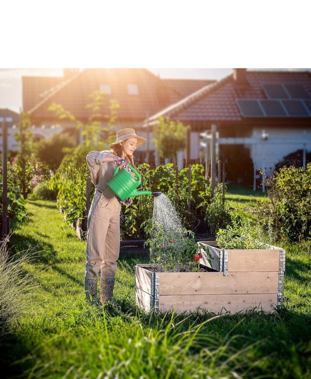 Moestuin bakken / palletranden