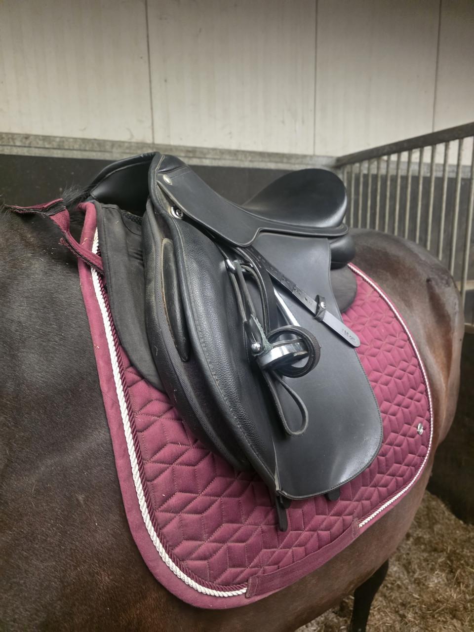 Wintec 18" veelzijdigheidszadel
