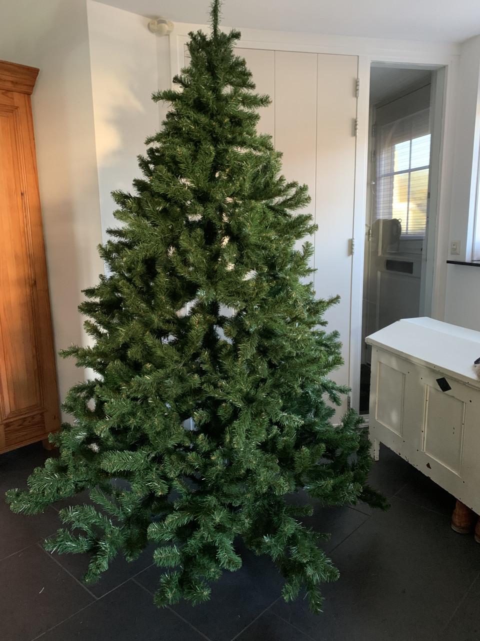 Kerstboom  2.10 m hoog.  Intratuin Triumph tree