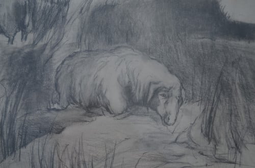 Houtskooltekening (?) schapen, mishandeld zo te zien, door H. Tummers 1983