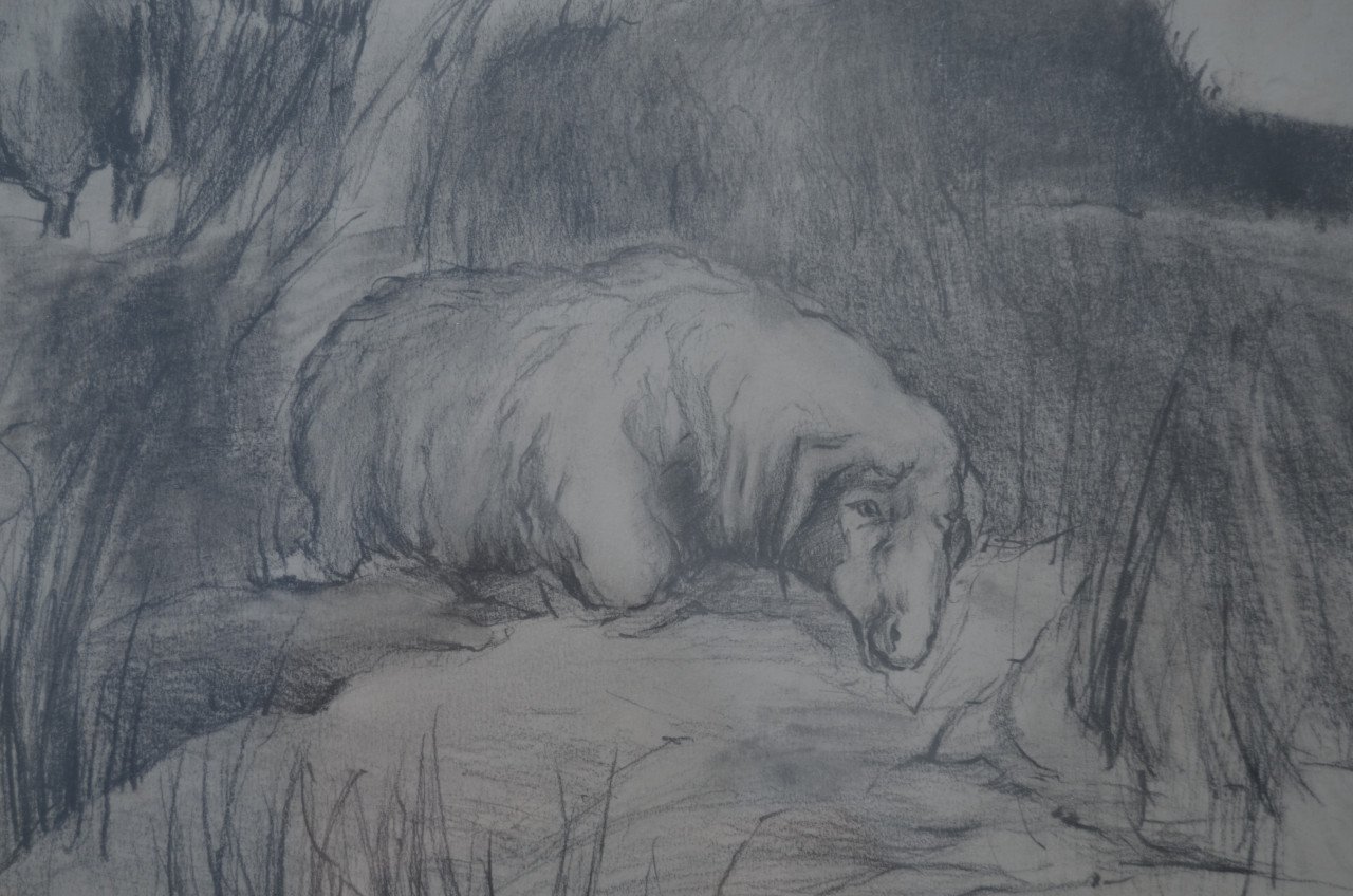 Houtskooltekening (?) schapen, mishandeld zo te zien, door H. Tummers 1983