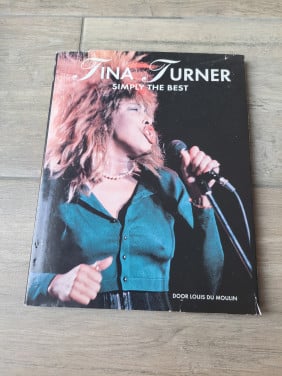 Tina Turner Simply the best van Louis Du Moulin