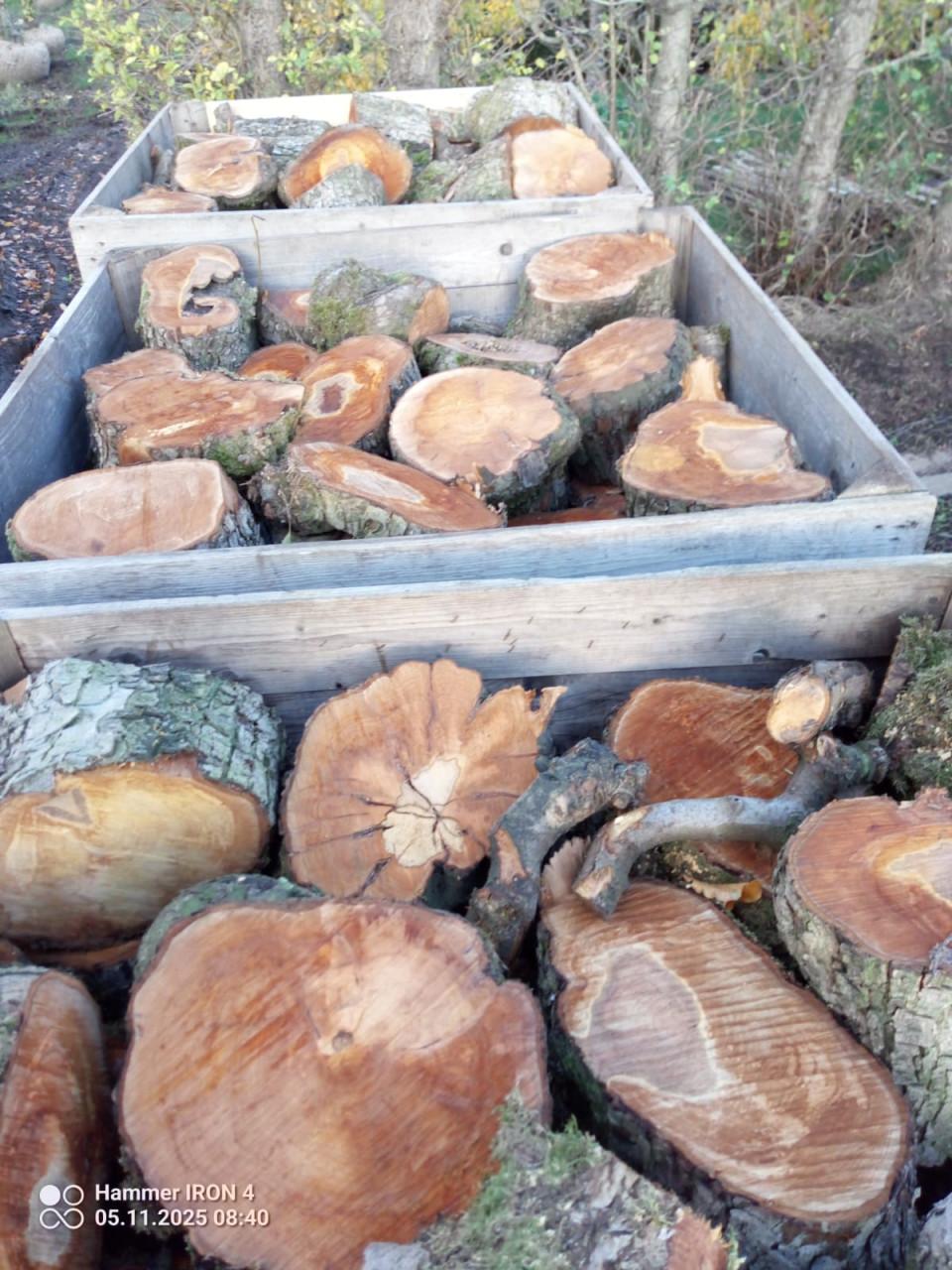 Openhaardhout peren, pas gerooid, blokken