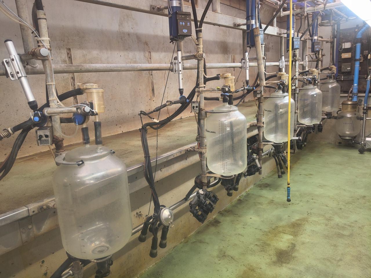 Delaval melkstal