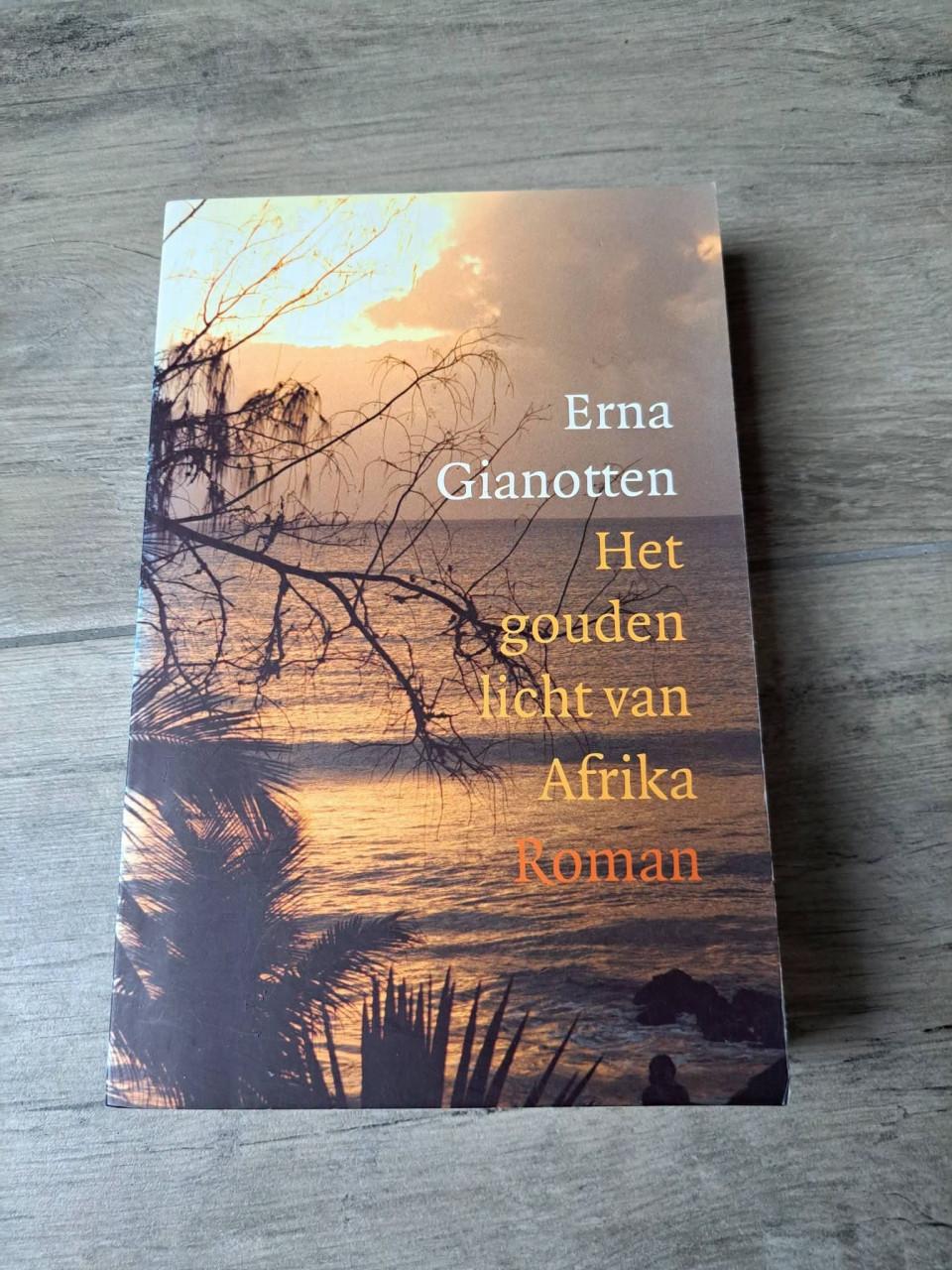 Roman Het gouden licht van Afrika van Erna Gianotten