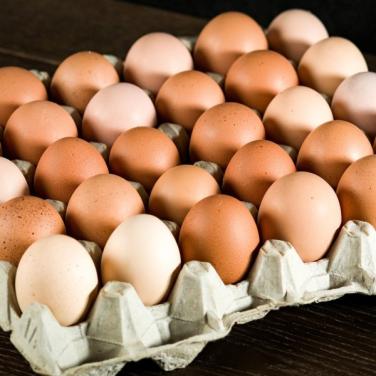 Verse scharrel eieren