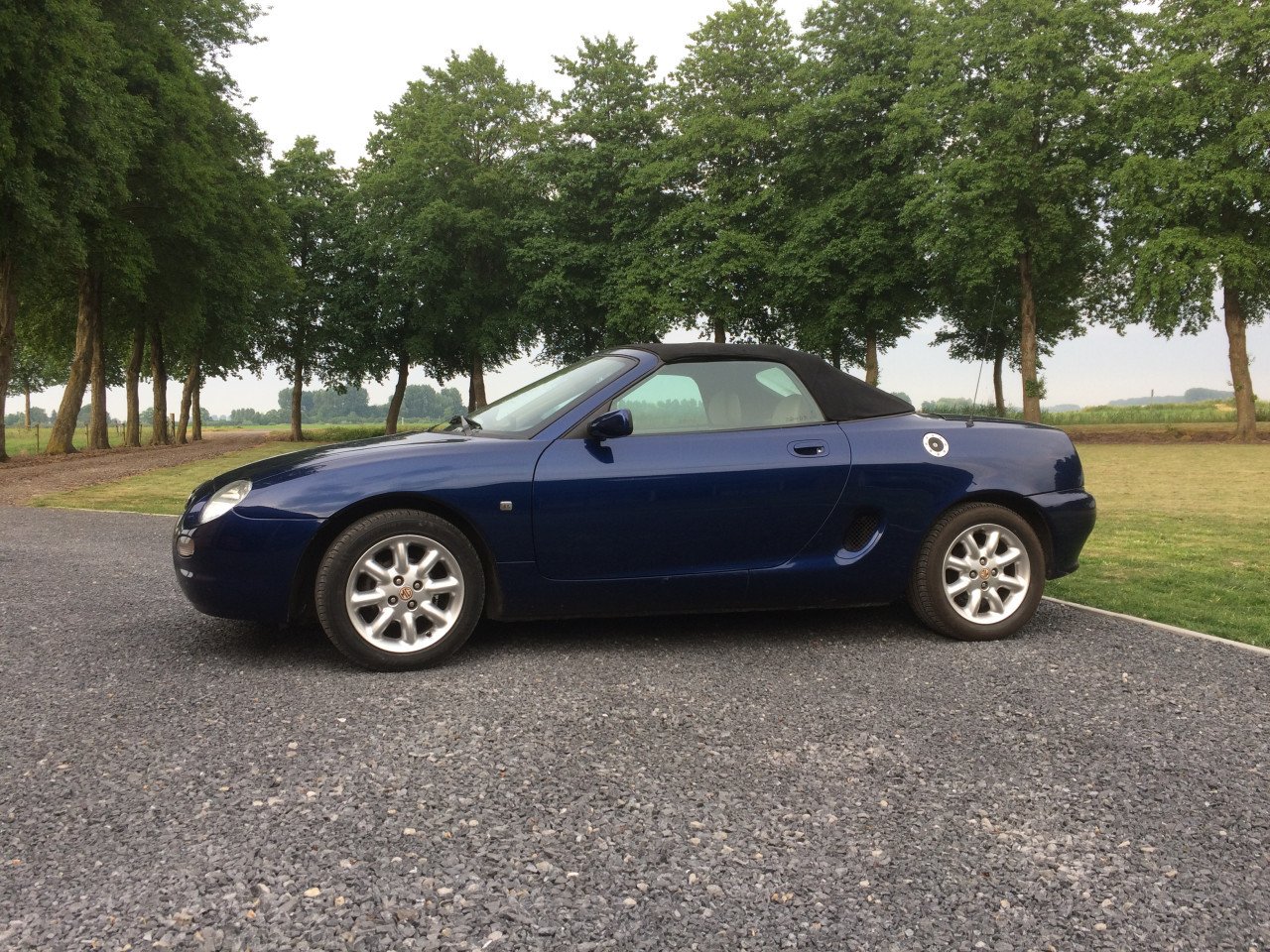 MG F