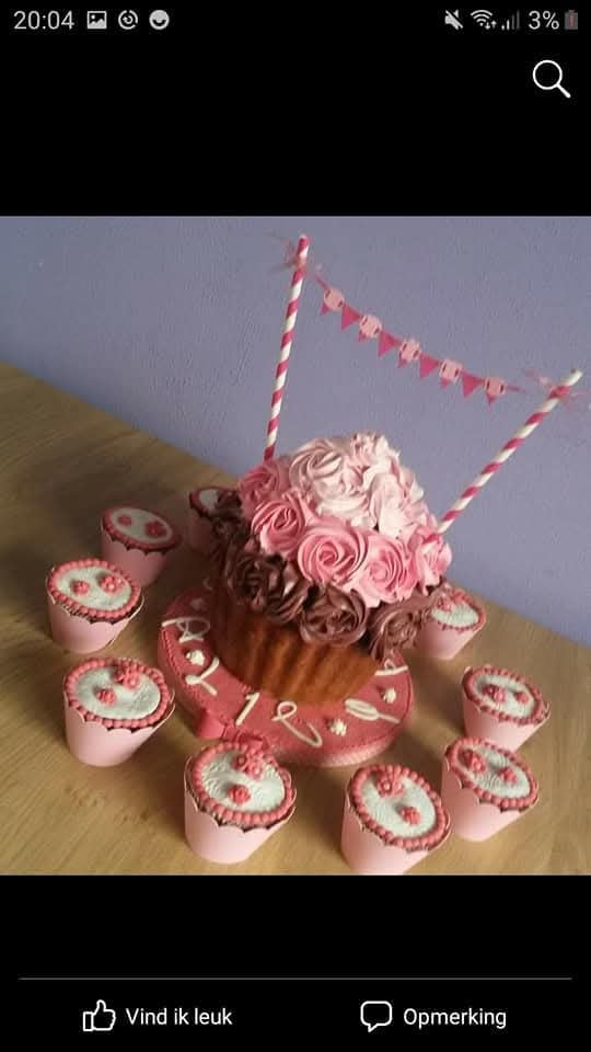 Giant cupcake