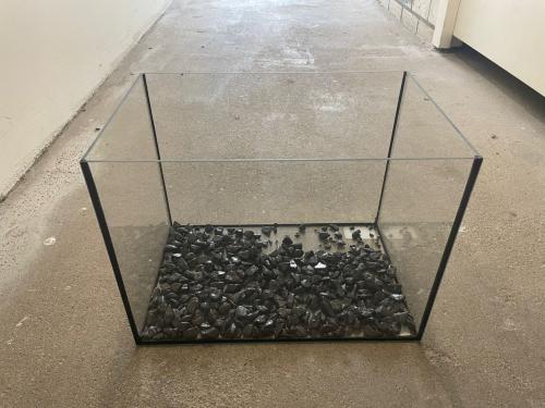 Aquarium met leuke accessoires