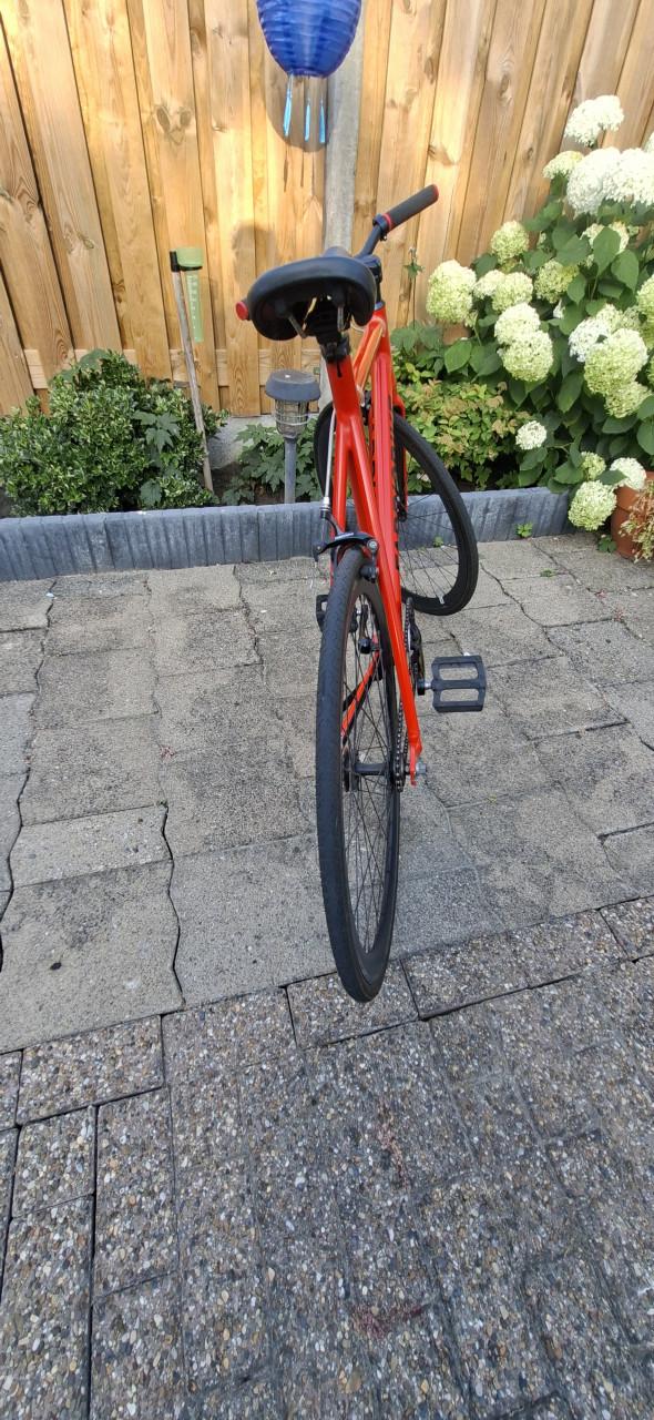 Fixie Bikes, Single Speed