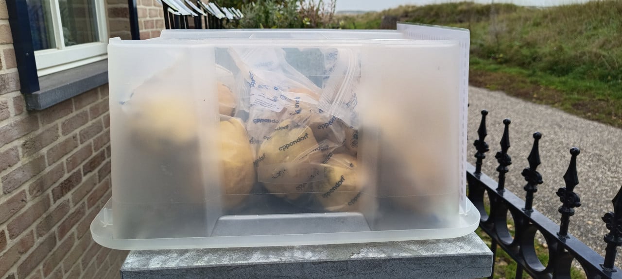Biologische kweeperen 2 kg voor € 3,00 en steun Stichting Sint Helpt !