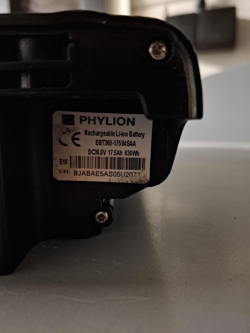 Stella livorno elektrische herenfiets