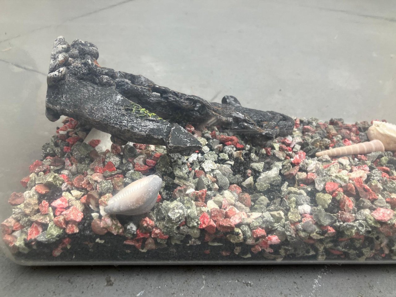 Aquarium, klein formaat 35x25x25