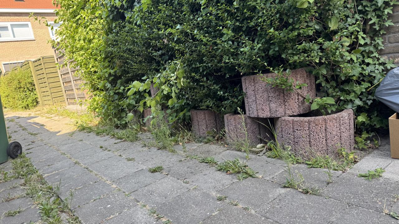 Tuin beton bakjes