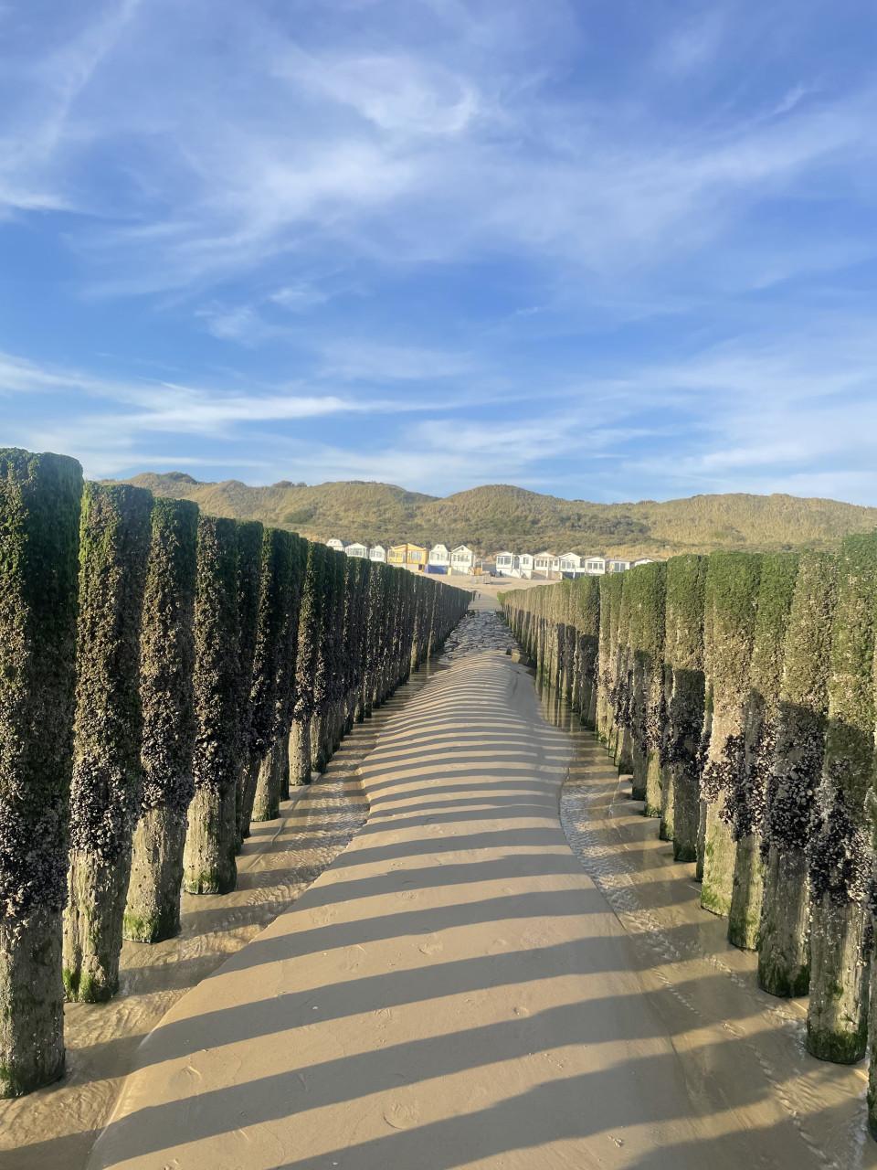 Te huur Strandslaaphuisje