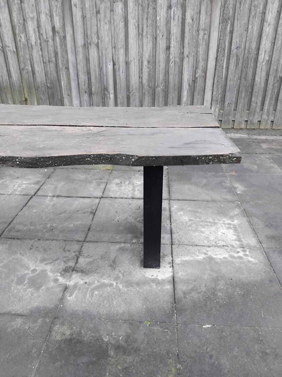 6 pers. Boomstamtafel