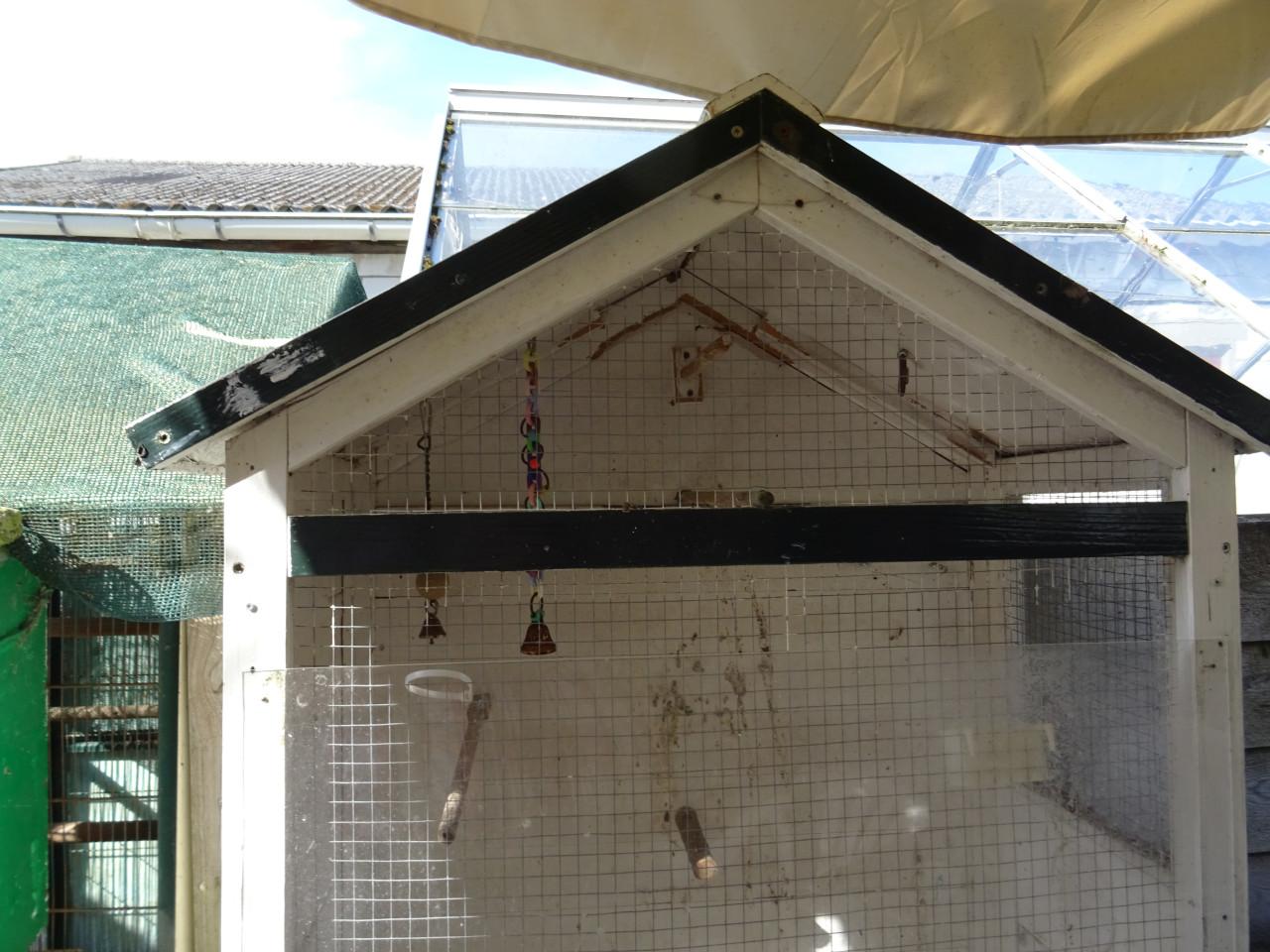 Te koop nog goed bruikbare vogelkooi ,voliere zie foto s
