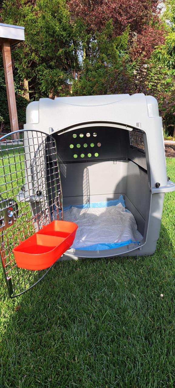 Te koop gevraagd Hondenbench voor vliegreis