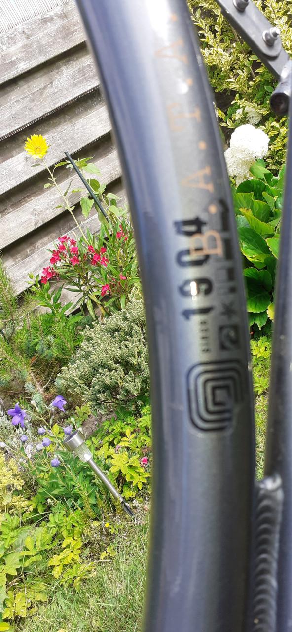 Damesfiets Batavus Blockbuster