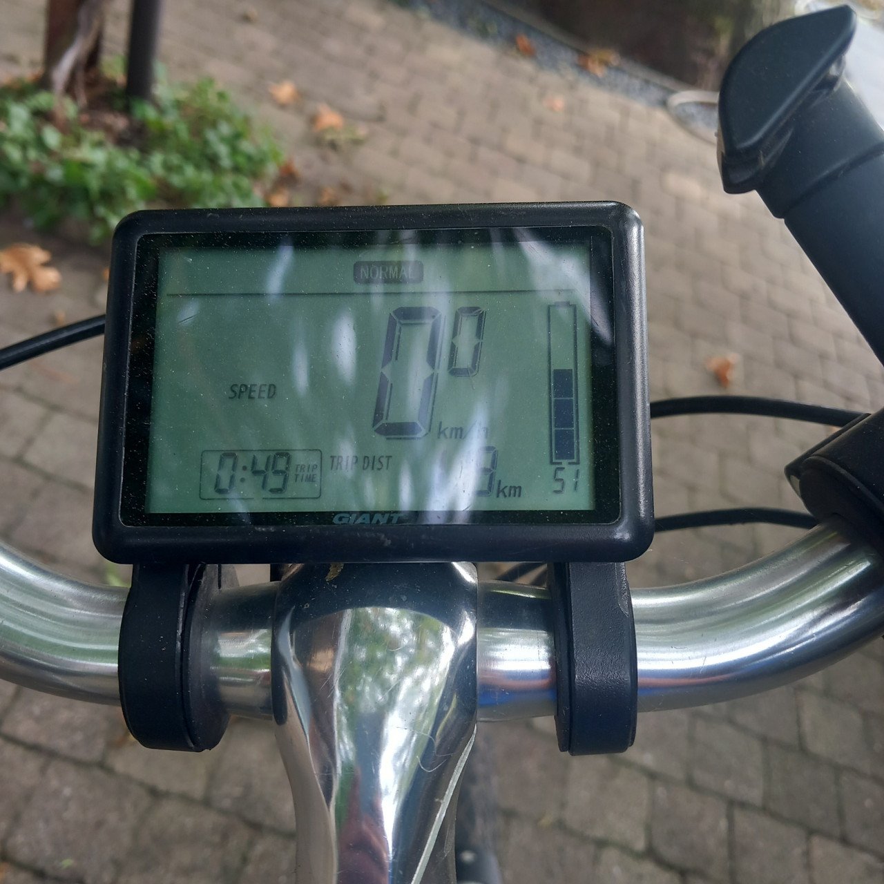 Elektrische damesfiets Giant