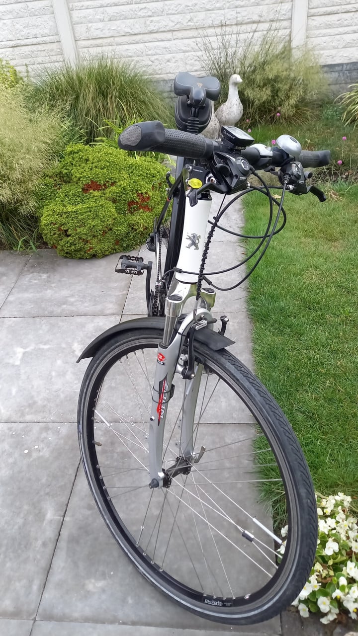 Peugeot met weg banden