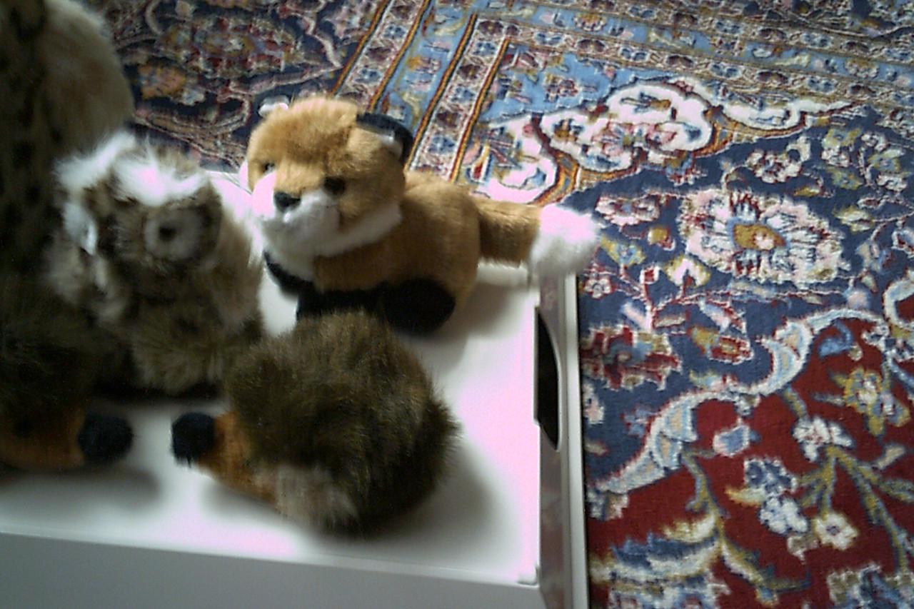 Set van VIJF nieuwe knuffels ...