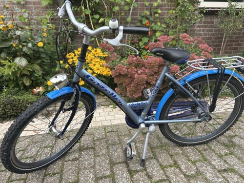 Meisjes fiets Gazelle Cheetah  3 versn velgrem achter rem. In orde gemaakt.