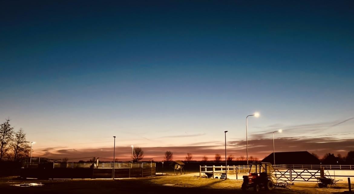 Paardenstalling per direct