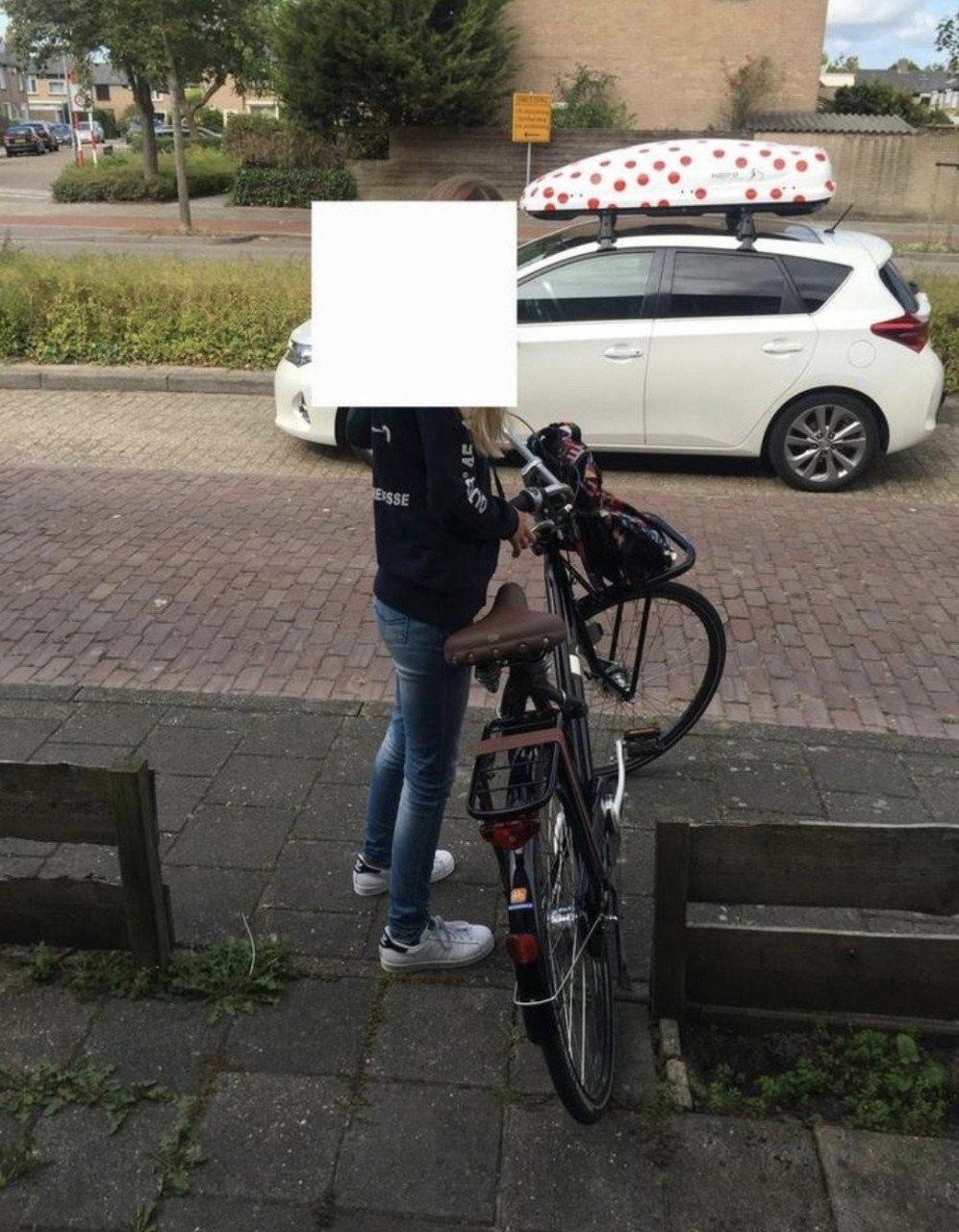 Dakkoffer Hapro Arrivee Zelande 2015 model