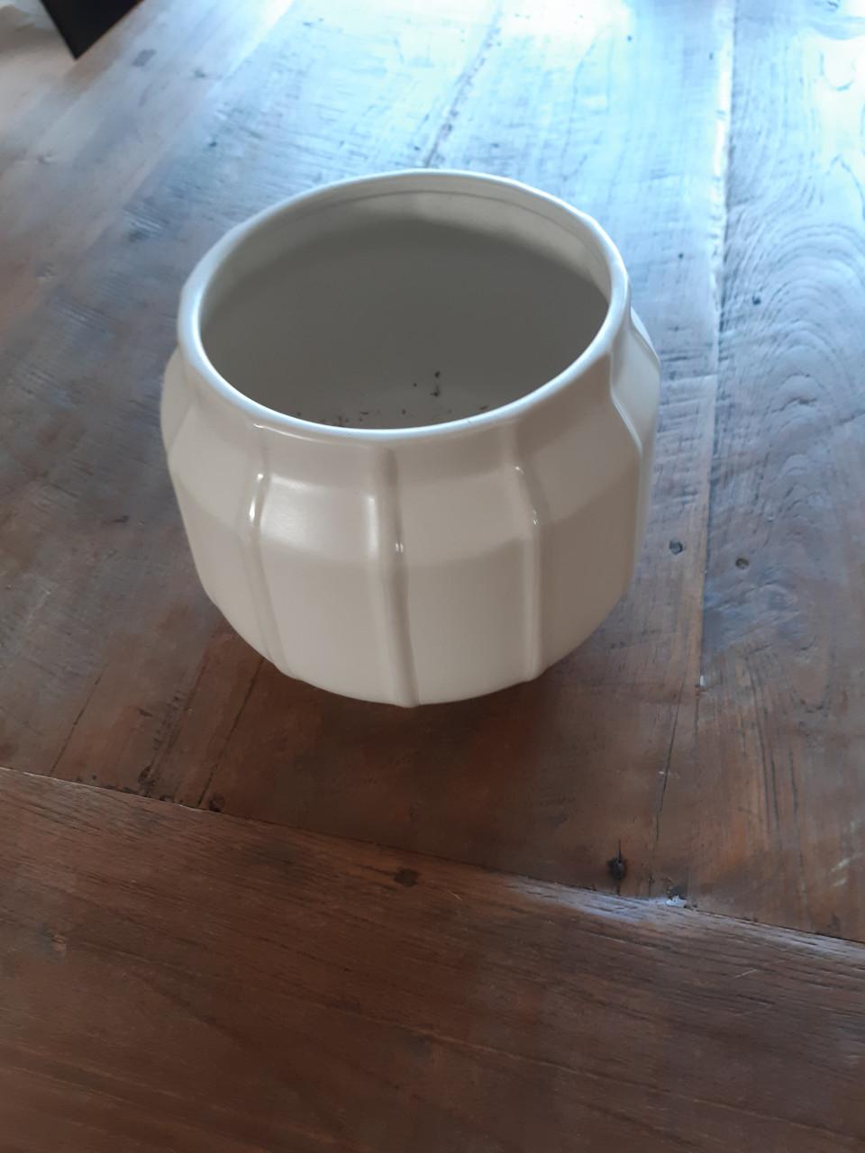 Bloempotje in prima staat