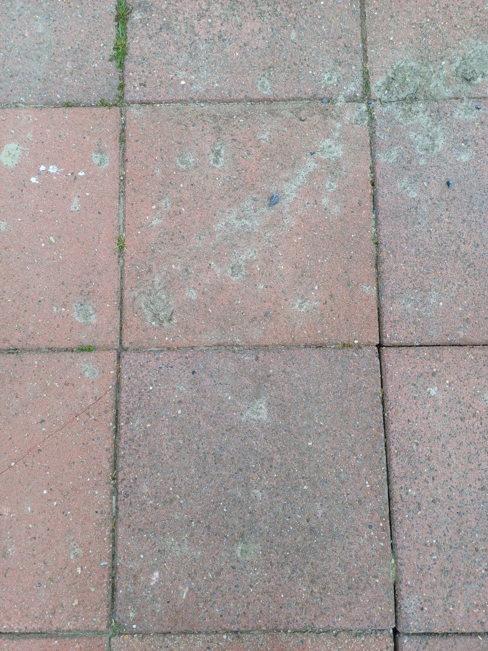 -60 Terras/oprit tegels GRATIS