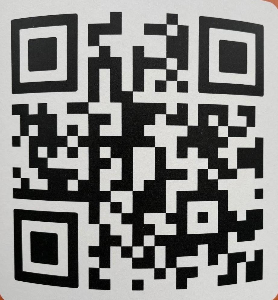 Dagje chopper Perfect voor gezinnen, vriendengroepen  en koppels