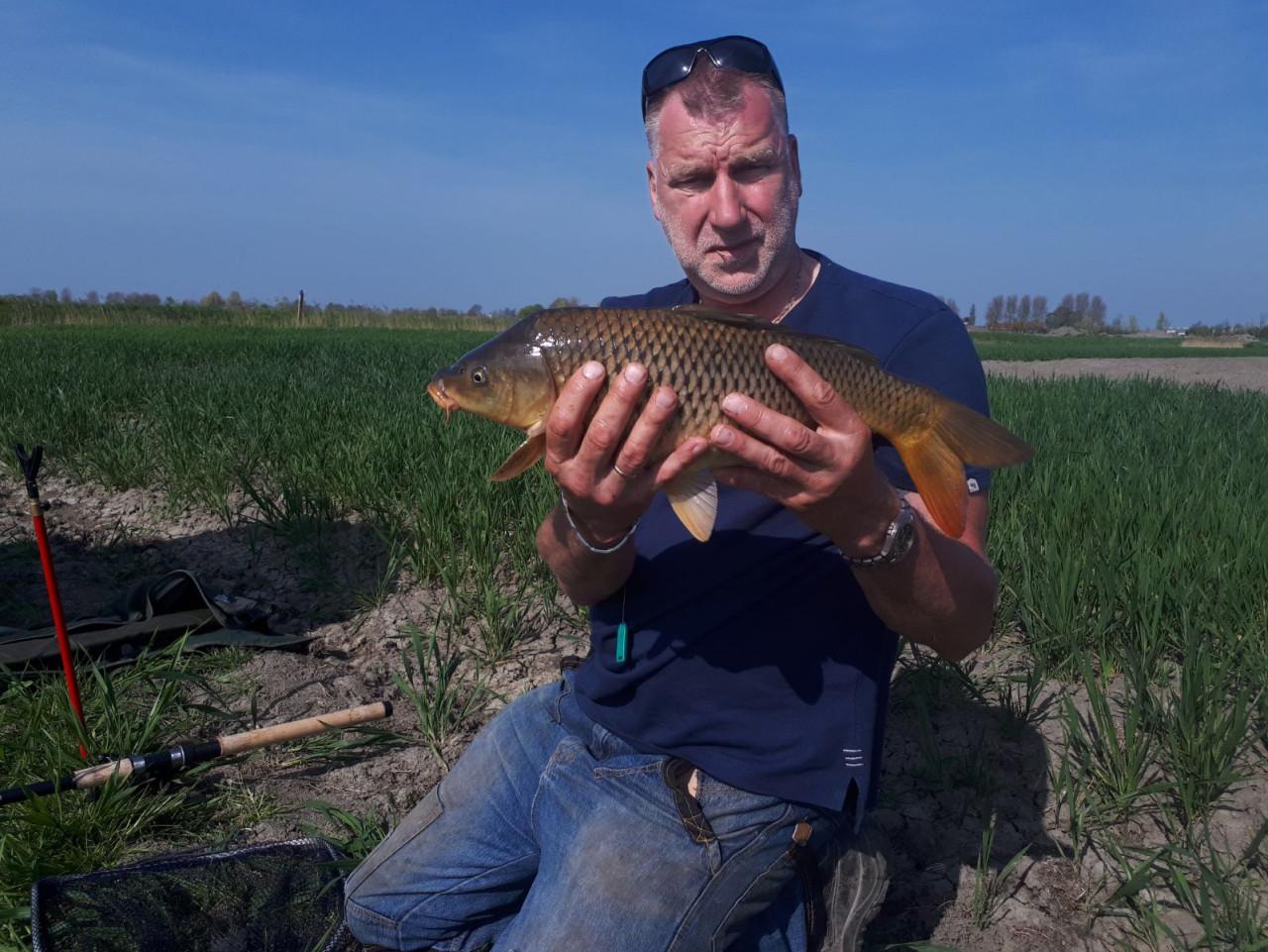 Hengelsport in de polder bij Karpervisserij Koudekerke €17,50 visvergunning