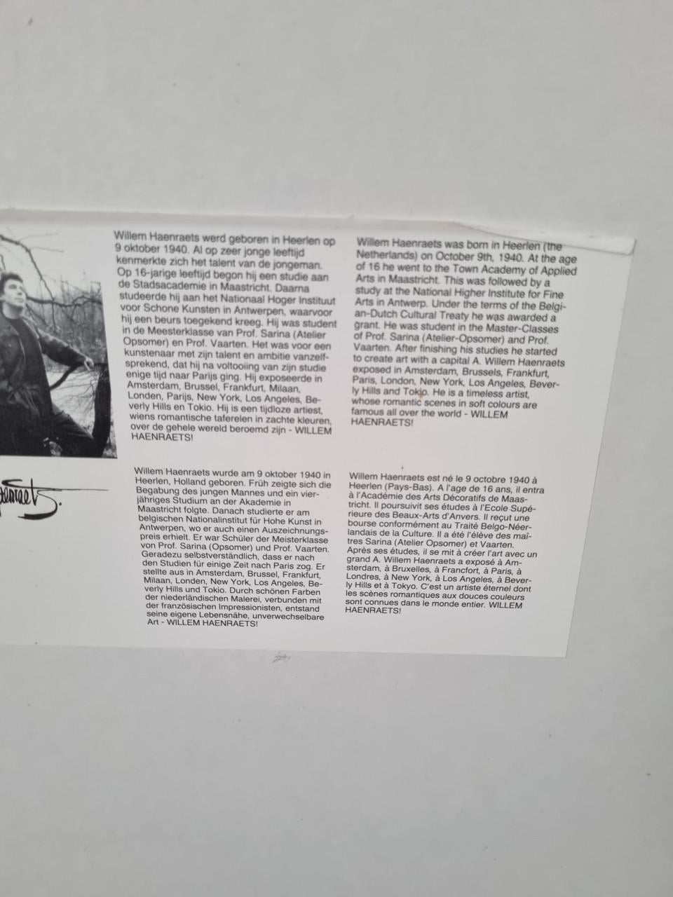 2 stuks schilderijen Willem Haenraets
