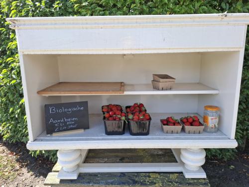 Aardbeien
