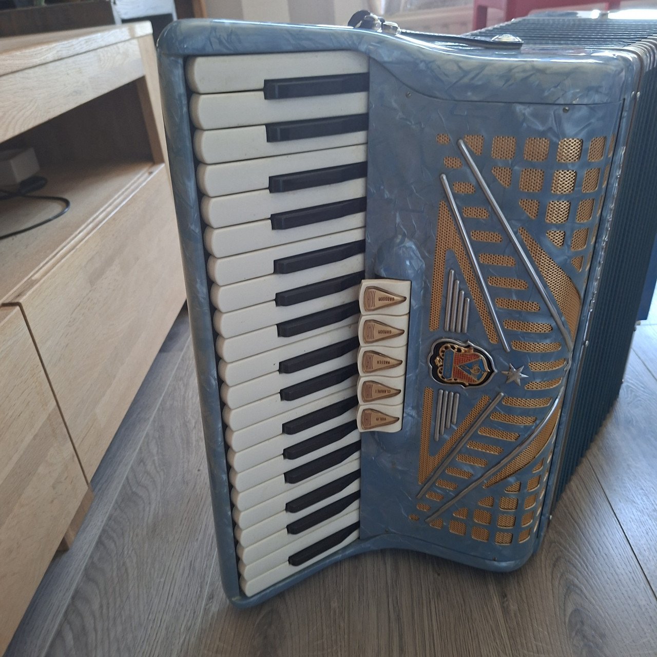 Accordion Accordiola Traviata