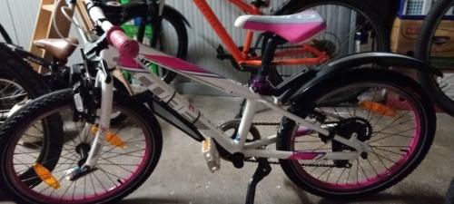 Nette Cube mountainbike 20inch roze