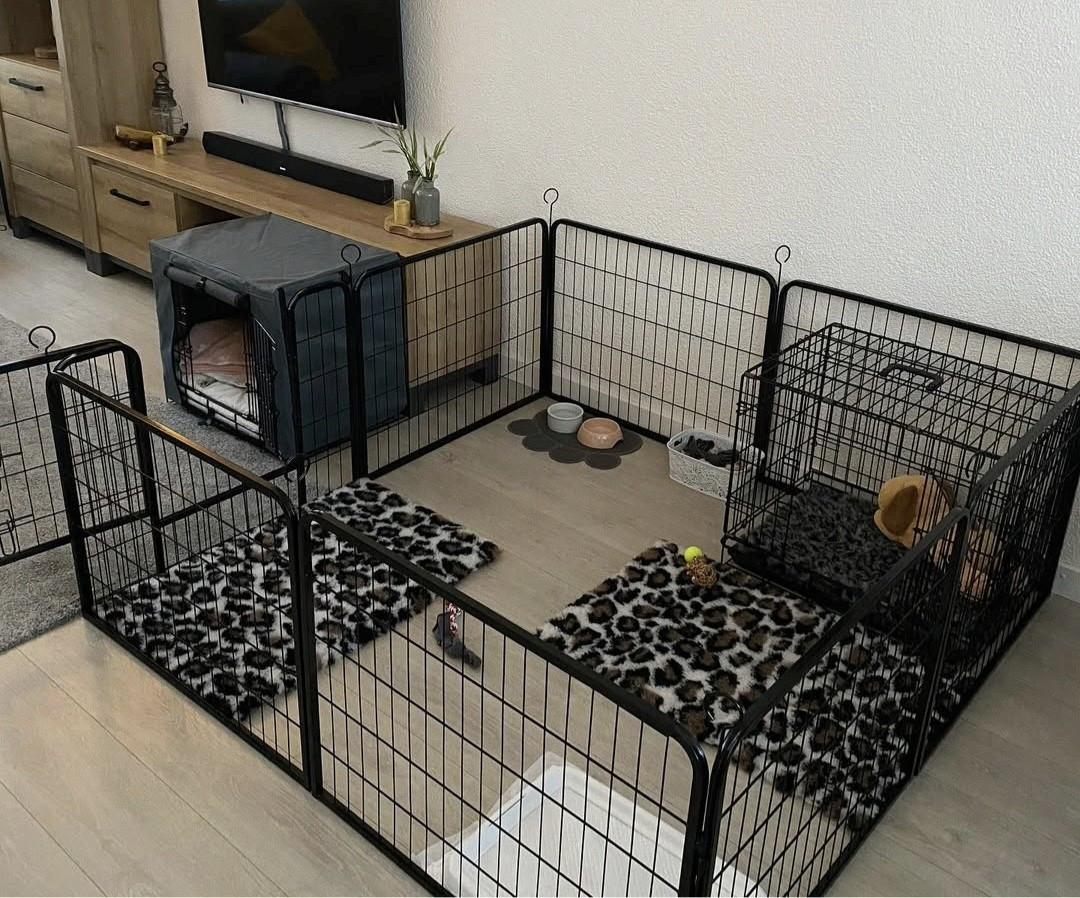 Puppyren