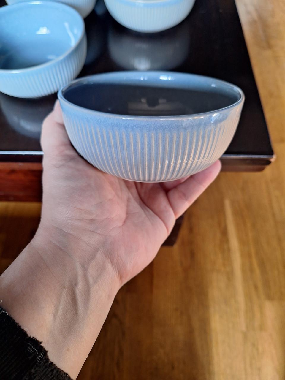 6 Albert Heijn schaaltjes