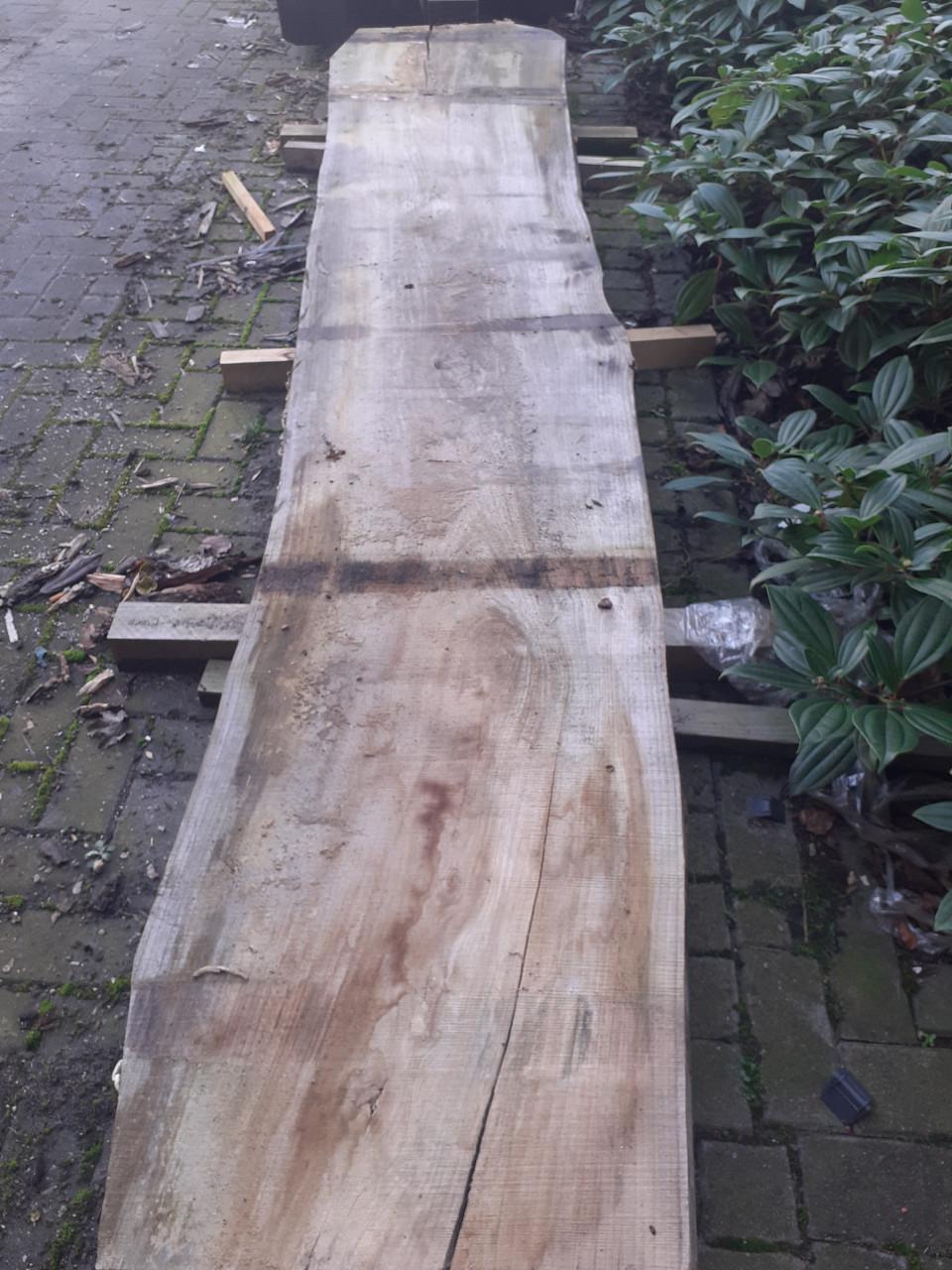 360 x 60 x 8 cm  groot breed dik boomstamblad voor 50 euro