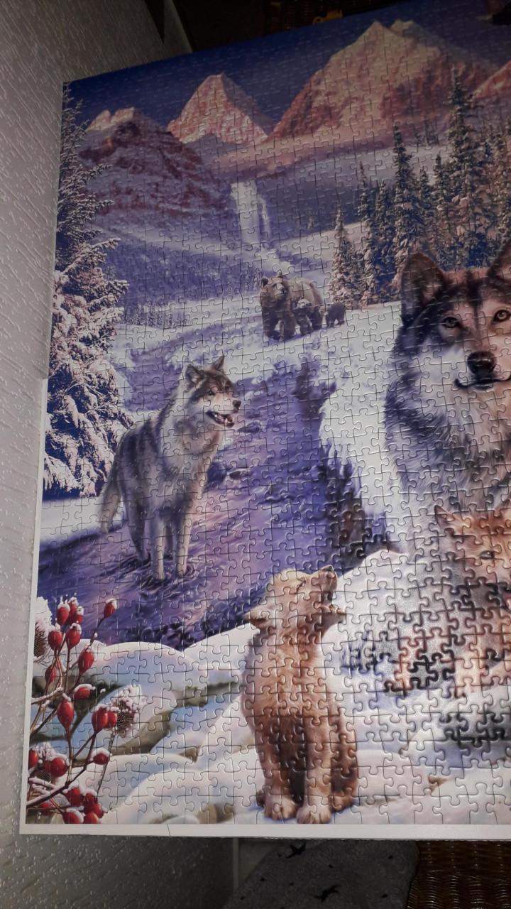 Puzzel 2000 stukjes wolven
