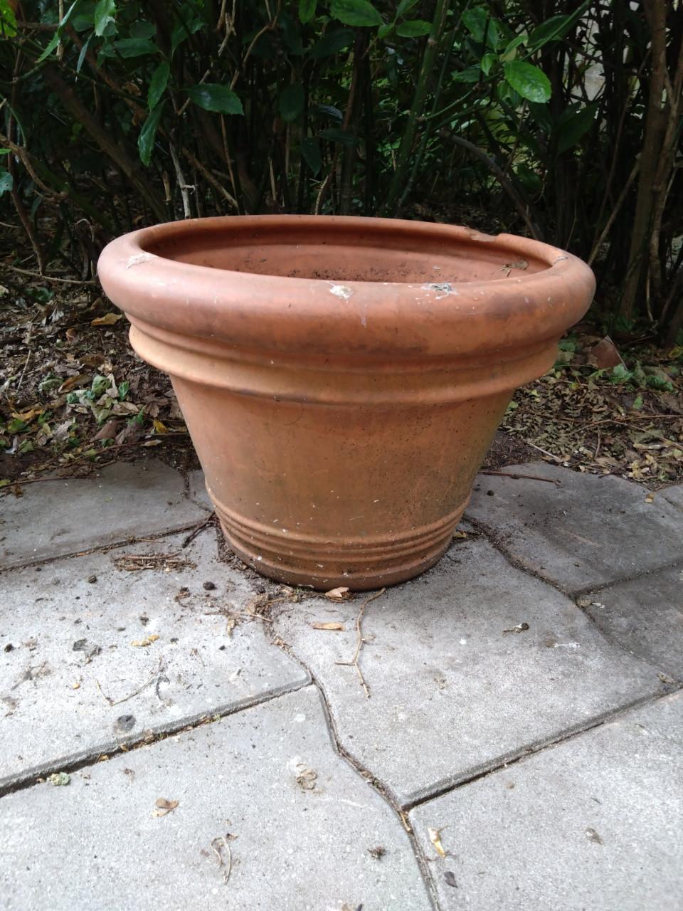 Toscaanse terracotta pot tuin