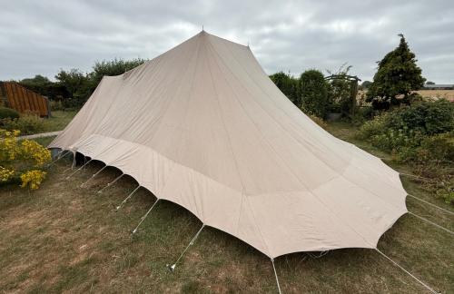De waard tent vergrote zilvermeeuw met dicht te ritsen luifel