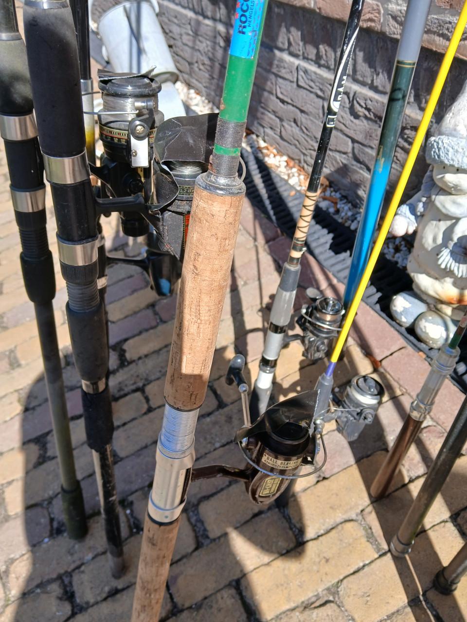 Hengels verschillende soorten