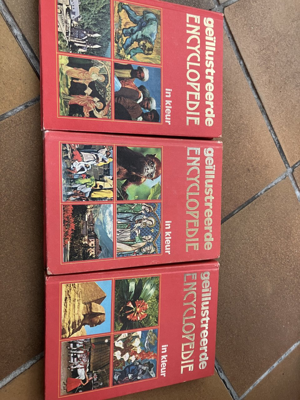 Geïllustreerde encyclopedie set in kleur