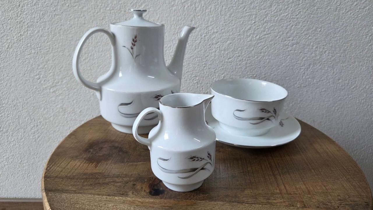 🌿 Vintage wit porseleinen Servies GH Bavaria (Gebrüder Benedikt),