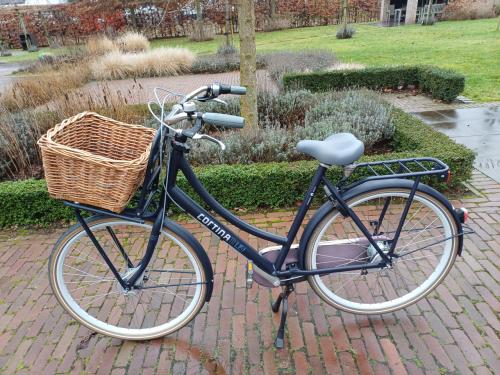 Cortina U4 D57 N8 transportfiets