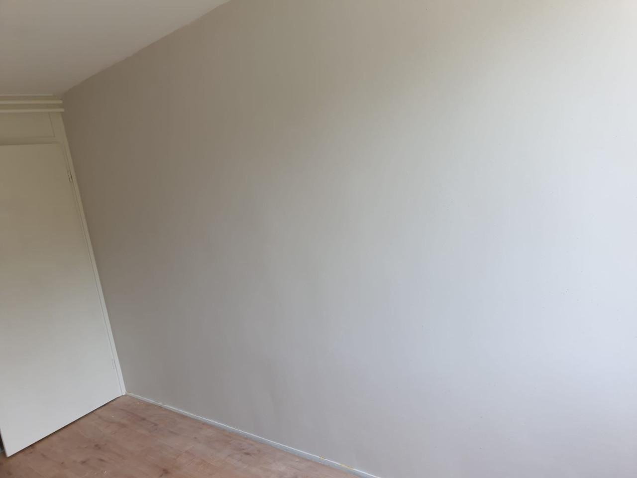 Dunpleister aanbrengen Design schilders&wandafwerking doet het!